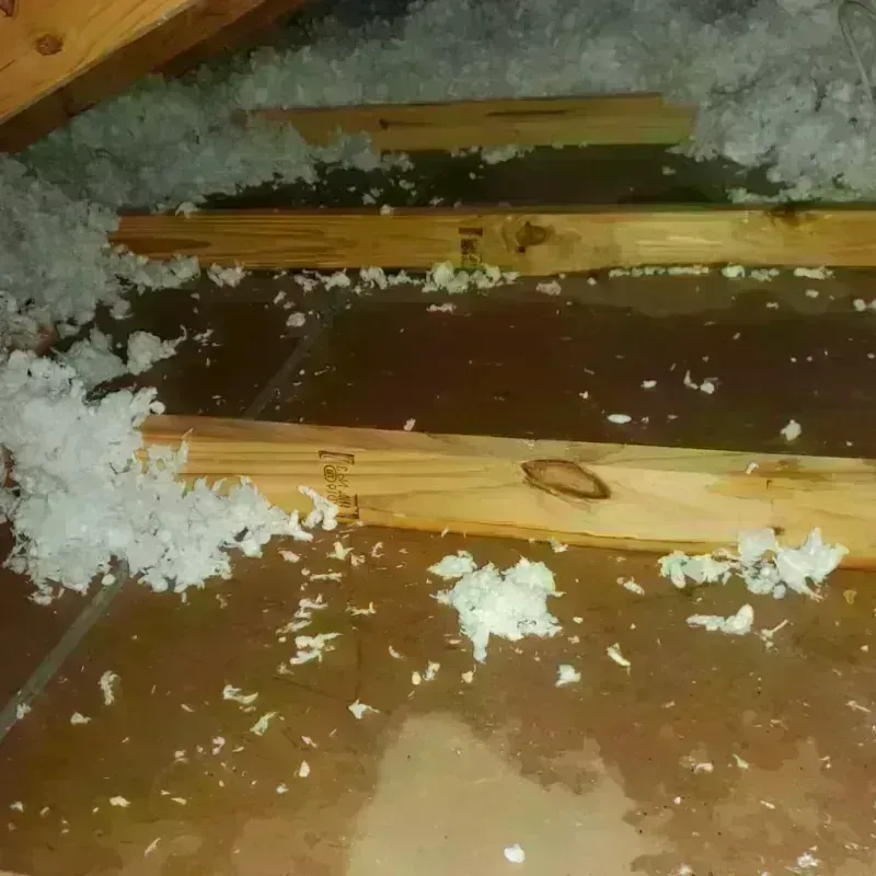 Attic Water Damage in Sequatchie County, TN